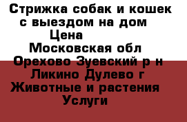 Стрижка собак и кошек с выездом на дом. › Цена ­ 1 000 - Московская обл., Орехово-Зуевский р-н, Ликино-Дулево г. Животные и растения » Услуги   